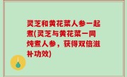 灵芝和黄花菜人参一起煮(灵芝与黄花菜一同炖煮人参，获得双倍滋补功效)
