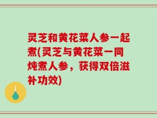 灵芝和黄花菜人参一起煮(灵芝与黄花菜一同炖煮人参，获得双倍滋补功效)