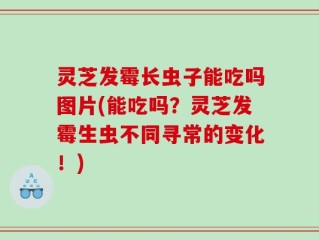 灵芝发霉长虫子能吃吗图片(能吃吗？灵芝发霉生虫不同寻常的变化！)