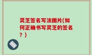 灵芝签名写法图片(如何正确书写灵芝的签名？)