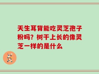 天生耳背能吃灵芝孢子粉吗？树干上长的像灵芝一样的是什么