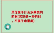 灵芝属于什么水果类的药材(灵芝是一种药材，不属于水果类)