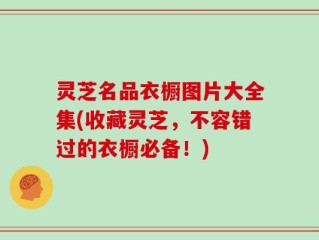 灵芝名品衣橱图片大全集(收藏灵芝，不容错过的衣橱必备！)