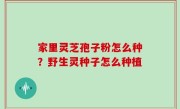 家里灵芝孢子粉怎么种？野生灵种子怎么种植