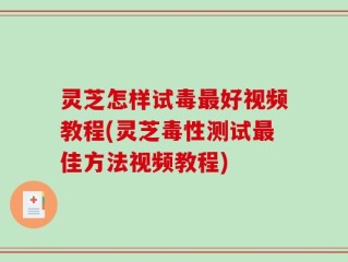 灵芝怎样试毒最好视频教程(灵芝毒性测试最佳方法视频教程)