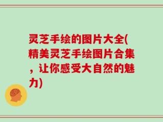 灵芝手绘的图片大全(精美灵芝手绘图片合集，让你感受大自然的魅力)
