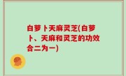白萝卜天麻灵芝(白萝卜、天麻和灵芝的功效合二为一)