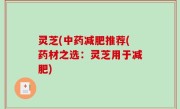 灵芝(中药减肥推荐(药材之选：灵芝用于减肥)