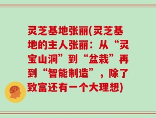 灵芝基地张丽(灵芝基地的主人张丽：从“灵宝山洞”到“盆栽”再到“智能制造”，除了致富还有一个大理想)