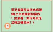 灵芝盆栽可以浇水吗视频(小白也能轻松操作！快来看：如何为灵芝盆栽正确浇水？)