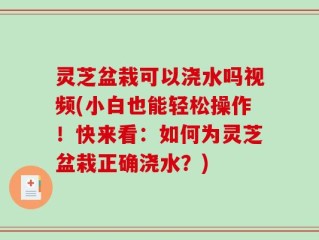 灵芝盆栽可以浇水吗视频(小白也能轻松操作！快来看：如何为灵芝盆栽正确浇水？)