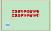 灵芝是孢子类植物吗(灵芝属于孢子植物吗？)