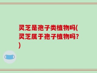 灵芝是孢子类植物吗(灵芝属于孢子植物吗？)