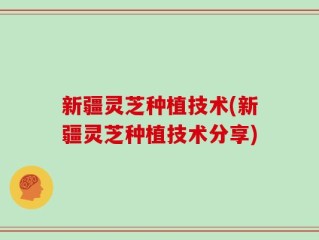 新疆灵芝种植技术(新疆灵芝种植技术分享)