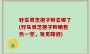 野生灵芝孢子粉去哪了(野生灵芝孢子粉销售热一空，难觅踪迹)