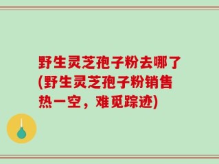 野生灵芝孢子粉去哪了(野生灵芝孢子粉销售热一空，难觅踪迹)