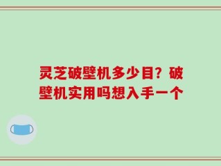 灵芝破壁机多少目？破壁机实用吗想入手一个