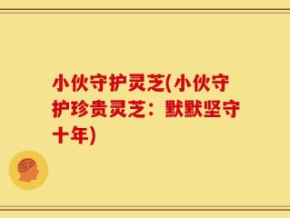 小伙守护灵芝(小伙守护珍贵灵芝：默默坚守十年)