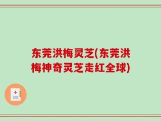 东莞洪梅灵芝(东莞洪梅神奇灵芝走红全球)