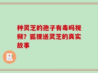 种灵芝的孢子有毒吗视频？狐狸送灵芝的真实故事