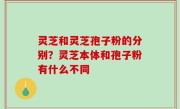 灵芝和灵芝孢子粉的分别？灵芝本体和孢子粉有什么不同