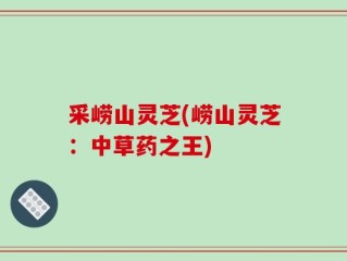 采崂山灵芝(崂山灵芝：中草药之王)