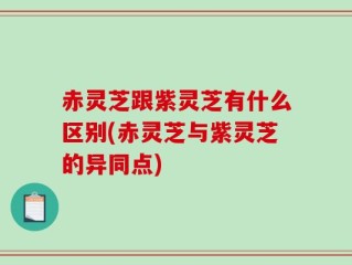 赤灵芝跟紫灵芝有什么区别(赤灵芝与紫灵芝的异同点)