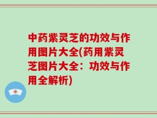 中药紫灵芝的功效与作用图片大全(药用紫灵芝图片大全：功效与作用全解析)