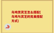 乌鸡煲灵芝怎么搭配(乌鸡与灵芝的完美搭配方式)