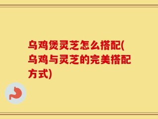 乌鸡煲灵芝怎么搭配(乌鸡与灵芝的完美搭配方式)