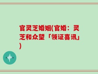 官灵芝婚姻(官婚：灵芝和众望「领证喜讯」)