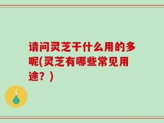 请问灵芝干什么用的多呢(灵芝有哪些常见用途？)