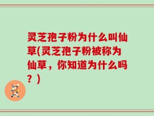 灵芝孢子粉为什么叫仙草(灵芝孢子粉被称为仙草，你知道为什么吗？)