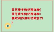 灵芝麦冬枸杞西洋参(灵芝麦冬枸杞西洋参：强效调养滋补功效合力)