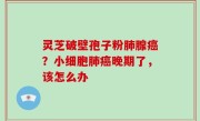 灵芝破壁孢子粉肺腺癌？小细胞肺癌晚期了，该怎么办
