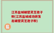 江苏盐城破壁灵芝孢子粉(江苏盐城成功研发出破壁灵芝孢子粉)