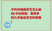 中药材插画灵芝怎么画的(手绘教程：用简单的几步画出灵芝的草图)