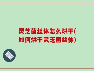 灵芝菌丝体怎么烘干(如何烘干灵芝菌丝体)