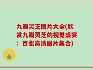 九瓣灵芝图片大全(欣赏九瓣灵芝的视觉盛宴：百张高清图片集合)