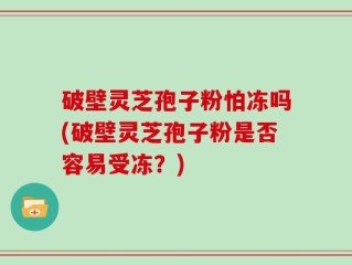 破壁灵芝孢子粉怕冻吗(破壁灵芝孢子粉是否容易受冻？)