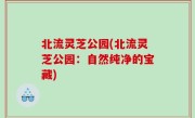 北流灵芝公园(北流灵芝公园：自然纯净的宝藏)