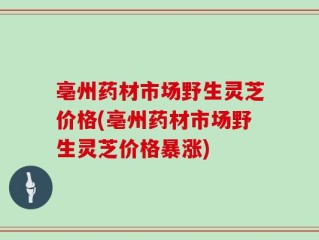 亳州药材市场野生灵芝价格(亳州药材市场野生灵芝价格暴涨)