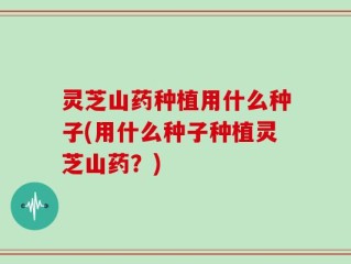 灵芝山药种植用什么种子(用什么种子种植灵芝山药？)