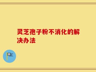 灵芝孢子粉不消化的解决办法