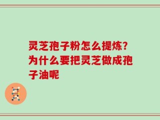 灵芝孢子粉怎么提炼？为什么要把灵芝做成孢子油呢