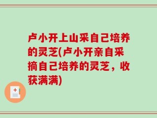 卢小开上山采自己培养的灵芝(卢小开亲自采摘自己培养的灵芝，收获满满)