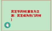 灵芝节药材(重生力之源：灵芝成为热门药材)
