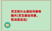 灵芝熬什么最佳效果呢图片(灵芝最佳效果，熬汤是首选)
