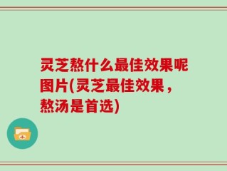 灵芝熬什么最佳效果呢图片(灵芝最佳效果，熬汤是首选)