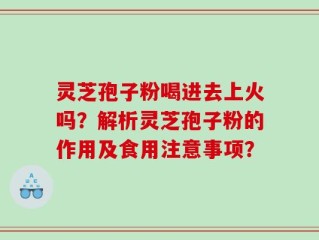 灵芝孢子粉喝进去上火吗？解析灵芝孢子粉的作用及食用注意事项？
